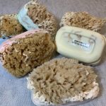 Olive Oil & Goat's Milk Soaps  with Sea Sponge