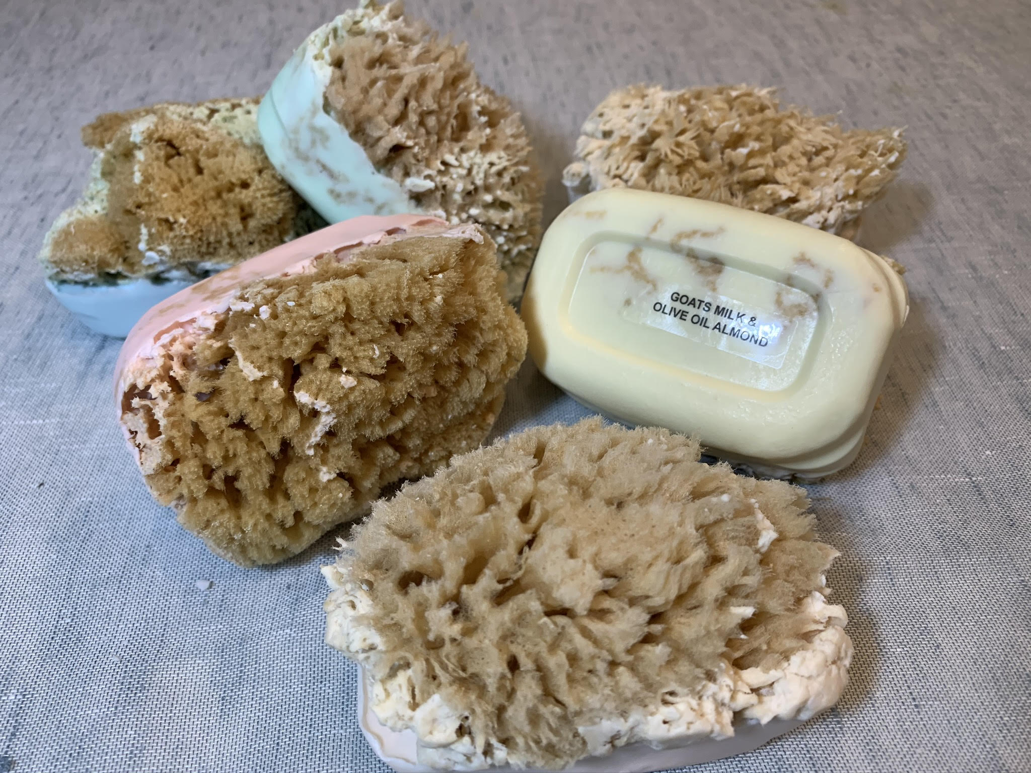 yellow sponges - Lori's Soap Shop