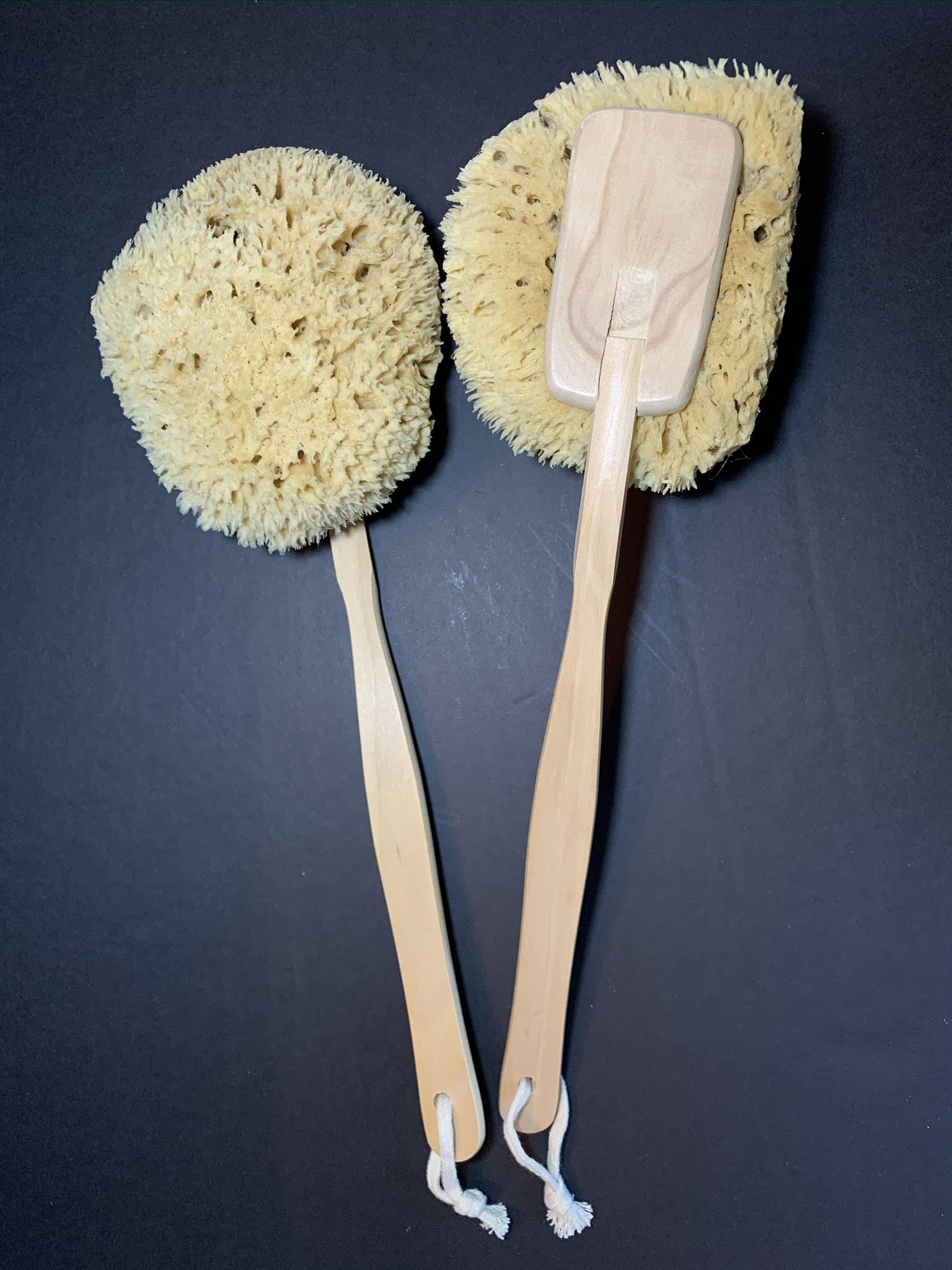 Natural Sea Sponges For Bathing And Face Scrubbing - NATURE'S LINE -  Marketspread